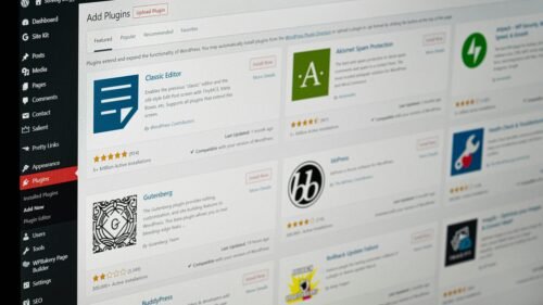Wordpress Advanced